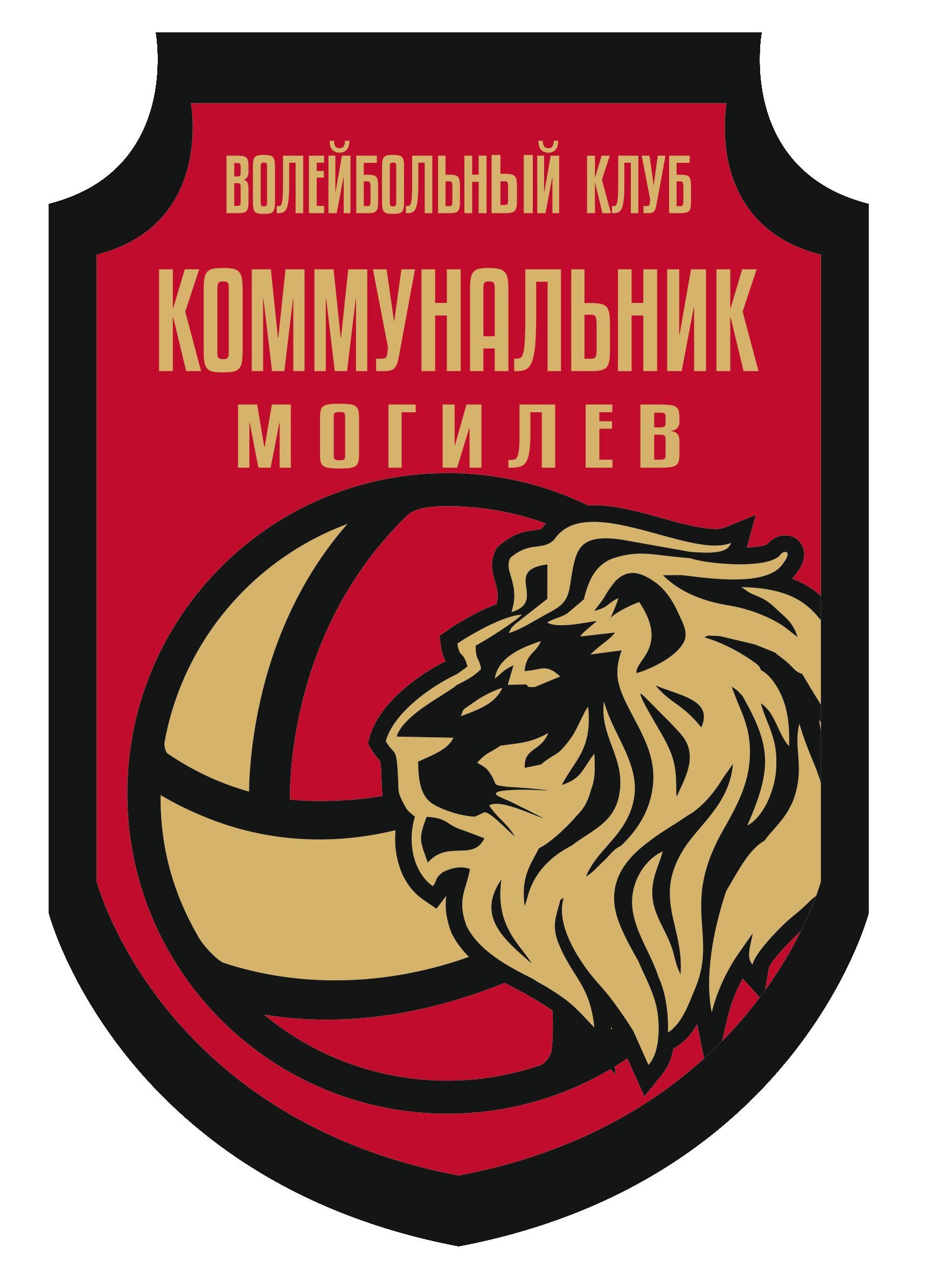 Коммунальник-Могилев