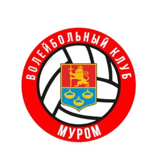 Логотип 1 команды